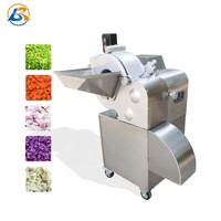 Professionele Groente Fruit Ui Chopper Radijs Kokos Aloë Vera Kubus Mango Komkommer En Chinese Kool Snijmachine