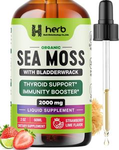 Extracto de Musgo Marino Irlandés Vegano Orgánico OEM/ODM para la Salud Inmunológica y de las Articulaciones - Product Image 1