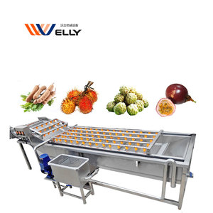 Machine à laver les légumes et les fruits, circulation <span class=keywords><strong>d</strong></span>'<span class=keywords><strong>eau</strong></span>, pour lattice, tomate, fraise, bulles <span class=keywords><strong>d</strong></span>'air - Product Image 2