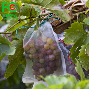 Bền UV Màu Xanh lá cây Mono Filament lưới túi cho trái cây HDPE <span class=keywords><strong>Net</strong></span> Túi Bìa với màu xanh lá cây Red <span class=keywords><strong>Black</strong></span> drawstrings - Product Image 5