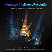 Vibe-T3 Factory Wholesale 6-String Electric Guitar Stringed Instruments Guitar Custom with High Quality