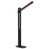Chauffage électrique infrarouge de patio certifié CE CB GS EMC LVD Fordable 1500W/1800W avec tube en fibre de carbone