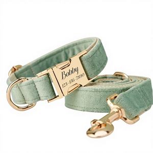 Saegreen Veet personalizado Do Collar Bow Tie Leash Set, personalizado Enraved Pet Name Metal Buckle, cumpleaños cachorro regalo, gratis - Product Image 1