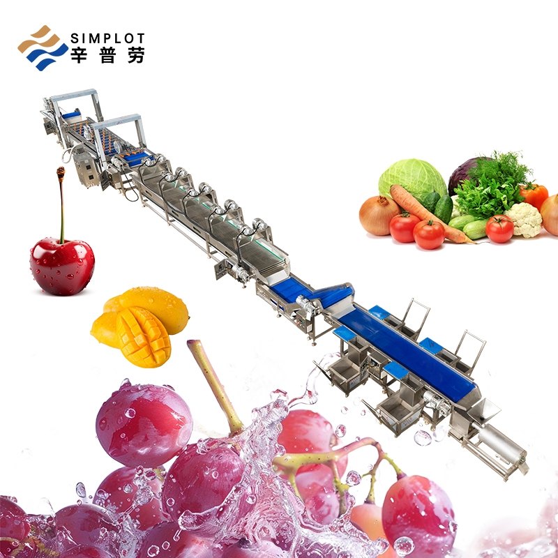 Commercial Automatic Ozone Vegetable Fruit Washing