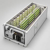 Conteneur en alliage d'aluminium 40HQ personnalisé pour ferme hydroponique NFT, entrepôt extérieur de supermarché, système clé en main complet pour laitue