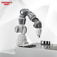 Robot collaboratif à 6 axes, bras robotique léger et flexible pour les applications d'emballage et de manutention