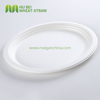 Assiette ovale jetable en canne à sucre pour traiteur, 12,5x10 pouces, sans PFAS, biodégradable, en bagasse, compatible congélateur