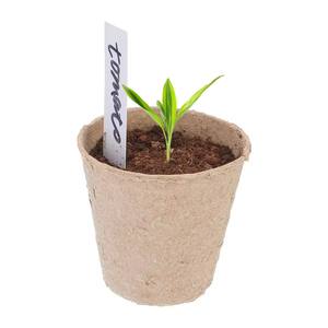 Plateaux à graines de jardin biodégradables compostables Germination Sow and Grow Pots de plantation Sacs en papier <span class=keywords><strong>pour</strong></span> usage intérieur et extérieur - Product Image 3