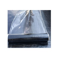 Haute Résistance à la traction Membrane Imperméable Auto-adhésive pour carrelage sous-couche d'asphalte shigles sous-couche