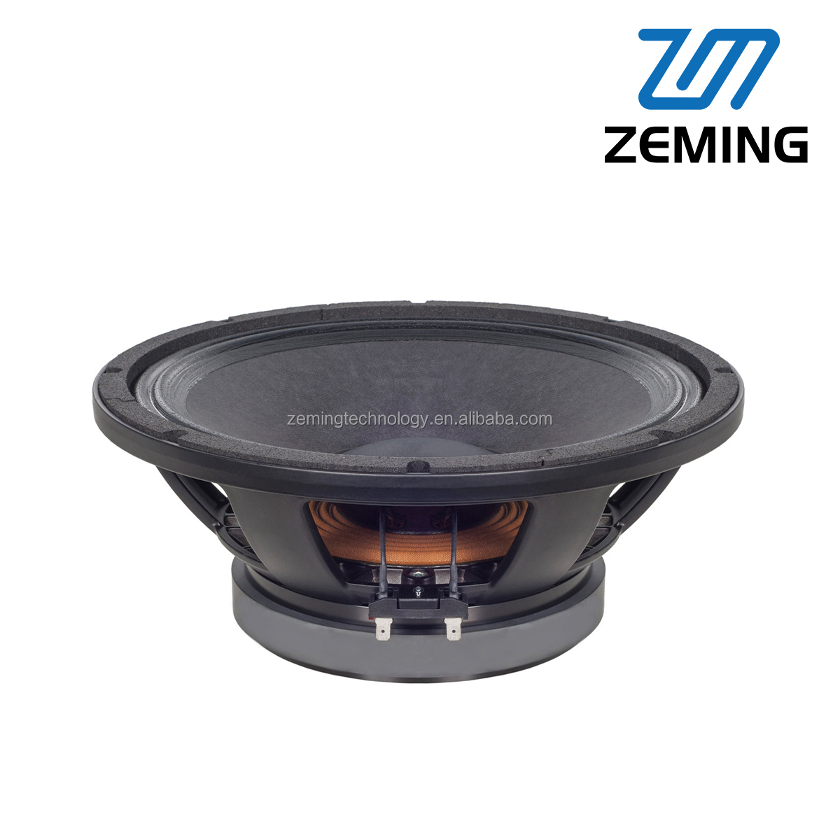 speaker 12