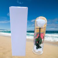 Rose éternelle préservée sous cloche en verre, ornements durables 3-5 ans, cadeau pour la Saint-Valentin, Tanabata, anniversaire