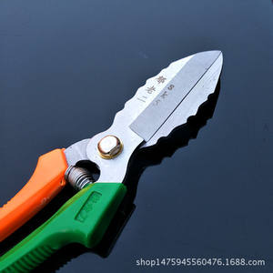 Tijeras para ajo Yulaoer de acero inoxidable con hoja de 3.5 pulgadas y cabeza recta para cortar ajo - Product Image 4