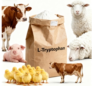 L-Tryptophane de qualité alimentaire - <span class=keywords><strong>Acide</strong></span> aminé essentiel pour l'alimentation animale - Product Image 1