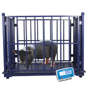 लोड सेल और सूचक के साथ उच्च गुणवत्ता वाले इलेक्ट्रॉनिक मवेशी पैमाने डिजिटल पशुधन स्केल - Product Image 1