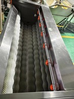 Industriële automatische borstelrol wortelgroente fruitwasser schiller pomp aardappel taro wortel radijs gember schilmachine motor