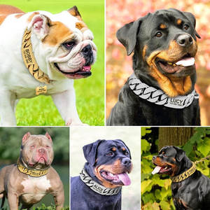 Venta al por mayor Pitbull lujo perro cadena Collar oro encanto cubano enlace perro collares y correa - Product Image 2