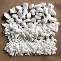 Petites Pierres Blanches Flocon de Neige pour Succulentes en Pot, Projet d'Aménagement Paysager de Bassin à Poissons en PE Fabriqué à la Machine, Décoration de Pavage Extérieur