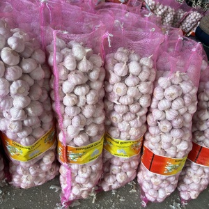 Nouvelle Saison Ail Blanc Frais du Shandong en Sac <span class=keywords><strong>de</strong></span> 24 kg - Product Image 5