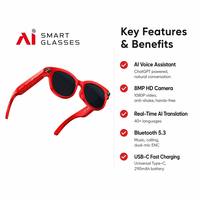 Lunettes Intelligentes OEM avec Caméra Unique, Assistant IA, Traduction en Temps Réel, Vidéo 1080P, Contrôle Tactile, Microphone, Monture Métallique, IP67, Type-C