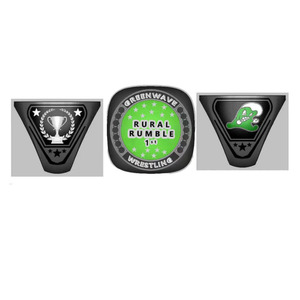 แหวนแชมป์ทีมวอลเลย์บอลซอฟต์บอลแบบกำหนดเอง - Product Image 2