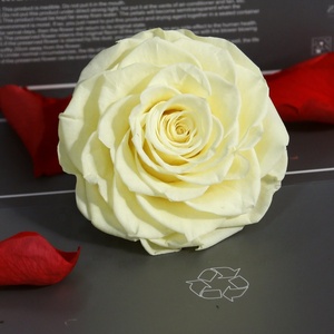 Regalo personalizado de fábrica, artesanía DIY, cabeza de Rosa conservada, flores decorativas de tacto Real de 9-10cm para el hogar, <span class=keywords><strong>boda</strong></span> decorativa - Product Image 4