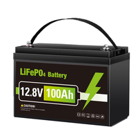 Batterie LiFePO4 rechargeable 12,8V 25,6V 100Ah 150Ah 200Ah avec poignée pour stockage solaire et VR, 8000 cycles