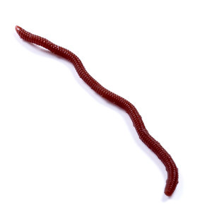 Wholesale 8cm 50pcs/bag Artificial Soft Earthworm Rubber Bait Red <strong>Worms</strong> for Fishing - Product Image 6