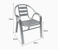 Chaise de plage moderne en acier inoxydable avec dossier et accoudoirs, idéale pour la maison et les loisirs - Chaise individuelle pour adulte