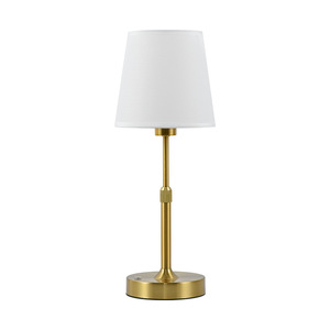 Moderna lampada da tavolo a LED in ottone oro batteria ricaricabile sostituibile in tessuto Rattan ombra flessibile in ferro per la potenza per la decorazione della casa - Product Image 3