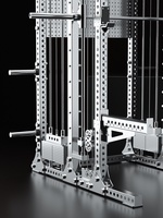 Rack de musculation multifonctionnel complet en acier inoxydable 304, style câble, pour intérieur, unisexe, avec machine Smith et rack à squats, 250 cm