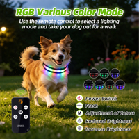 Collier LED pour chien avec télécommande de qualité supérieure, étanche, 7 modes d'éclairage, rechargeable par USB, pour la sécurité nocturne, imprimé dessin animé, en polyester