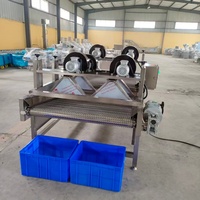 Industriële hoog-efficiënte luchtblaasdroogmachine voor de verwerking van voedsel, groenten, fruit en zeevruchten