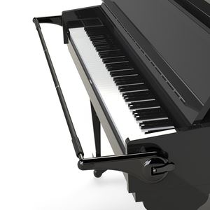 Teclado de piano Ejercitador de muñeca Herramienta de entrenamiento de postura de mano para piano Principiante <span class=keywords><strong>Pianista</strong></span> Estilo universal - Product Image 4
