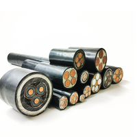 Câble d'alimentation blindé, fil électrique 6mm², câble électrique 0.6/1kV N2XA, conducteur en cuivre, isolation XLPE, gaine XLPE, 1.5mm², 2.5mm²