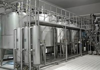 Extracteur de jus de fruits industriel commercial, mélangeur de pulpe et de pépins, en acier inoxydable de qualité alimentaire, haute efficacité, pour mangue