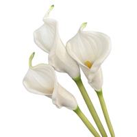 Fleur artificielle Calla Lily en PU, grande branche, blanche, pour décoration de mariage, accessoires de photographie extérieure, qualité export, pour la maison