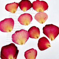Pétales de rose rouge séchés et pressés naturels en gros pour l'artisanat DIY, la décoration de mariage, le scrapbooking