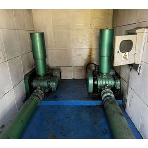 เครื่องเป่ารากอัตราการซื้อซ้ำสูงออกแบบมาโดยเฉพาะสำหรับโรงงานเพาะเลี้ยงสัตว์น้ำให้มีการเติมอากาศและออกซิเจนที่เสถียร - Product Image 6