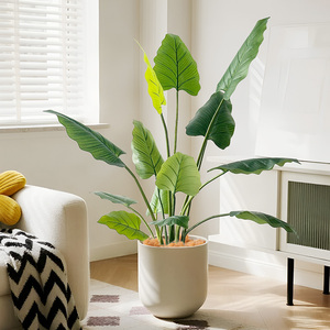 Albero Artificiale di Philodendron Erubescens in Plastica Verde Smeraldo, Leggero e di Alta Qualità, dall'Aspetto Naturale che Aggiunge Bellezza - Product Image 2