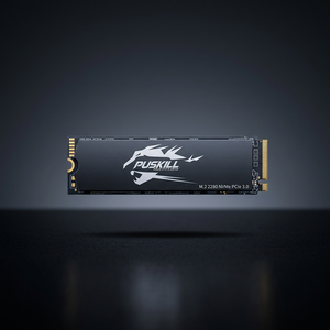 โรงงาน PUSKILL ขายส่งราคาดี ประสิทธิภาพสูง NVMe M.2 2280 PCIE3.0 SSD 128GB 256GB 512GB 1TB สำหรับคอมพิวเตอร์เล่นเกม - Product Image 2