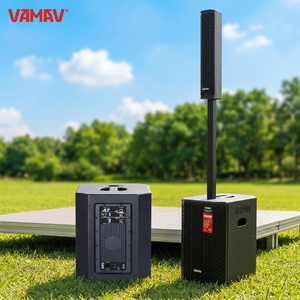 VAMAV XPECTRA 800 12-inch Active Column Speaker 800W Class D Amplifier for Wood Enclosure XPECTRA 800 800W RMS Power Paired With - Product Image 6