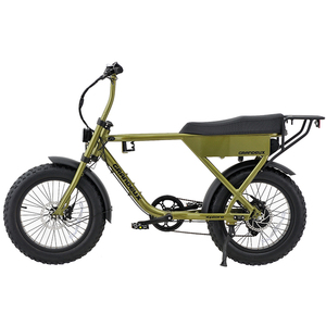 Stock de EE. UU. Envío Directo OEM ODM Personalización 20 pulgadas Bicicleta eléctrica Ebike 250W 48V 10AH Batería de litio Buje trasero Aleación de aluminio - Product Image 2