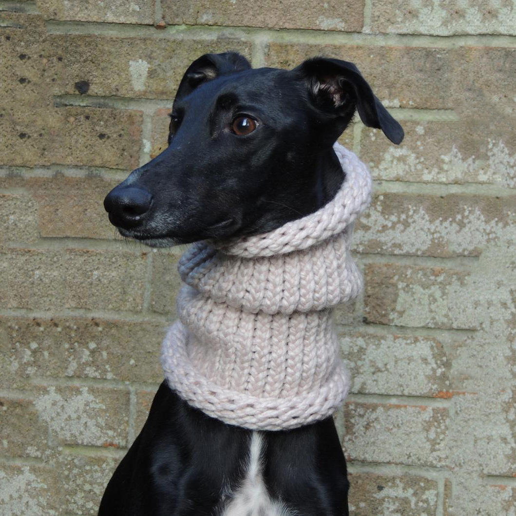Y-Z Greyhound Lurcher Whippet Dog Snood Neck Warmer Hat Handmade Chunky  Yarn Scarf for Dog