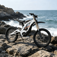 Vélo électrique Sur Ron Light Bee à récupération d'énergie cinétique, sans carburant, respectueux de l'environnement, motocross électrique pour les voyages en plein air
