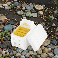 Mini Queen Mating Nuc Box pour l'apiculture Nouvel équipement de ruche d'élevage à usage agricole avec garantie d'un an