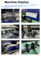 FD70-4 Nouvelle machine d'impression numérique entièrement automatique DTF 60cm Epson I3200 avec encre DTF CMYKW pour l'impression personnalisée sur tissu