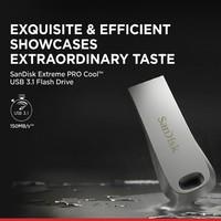 Flashdisk Sandisk Asli Original 256GB USB 3.2 Pendrive USB Memory Drive