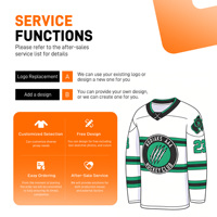 Maillot de hockey sur glace en twill de polyester respirant à 100 %, logo brodé personnalisé, patch écologique, séchage rapide, unisexe, adulte, puck