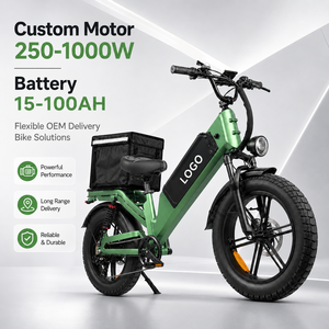 Precio de Fábrica OEM Bicicleta Eléctrica 48V 55Ah 250-10000W con Neumáticos Anchos, E-bike de Aleación de Aluminio de Larga Duración | Bicicleta Eléctrica de Entrega a Domicilio - Product Image 1