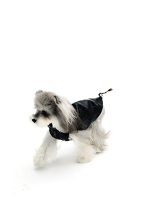 מעיל עור שחור עם רוכסן לחיות מחמד, דגם PAWSMOMENT, רב מכר, מתאים לבישון פריז, מלטיז, כלבים קטנים וטדי, עמיד למים, עשוי פוליאסטר. - Product Image 3